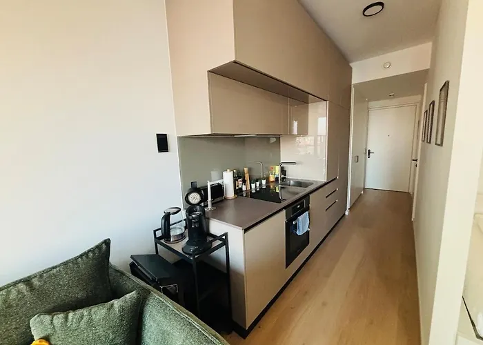 Apartmán Modern Overlooking The Skyline & Danube Vídeň